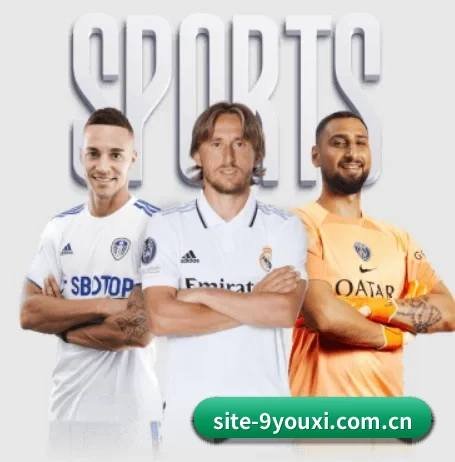 site-9youxi.com.cn的方向